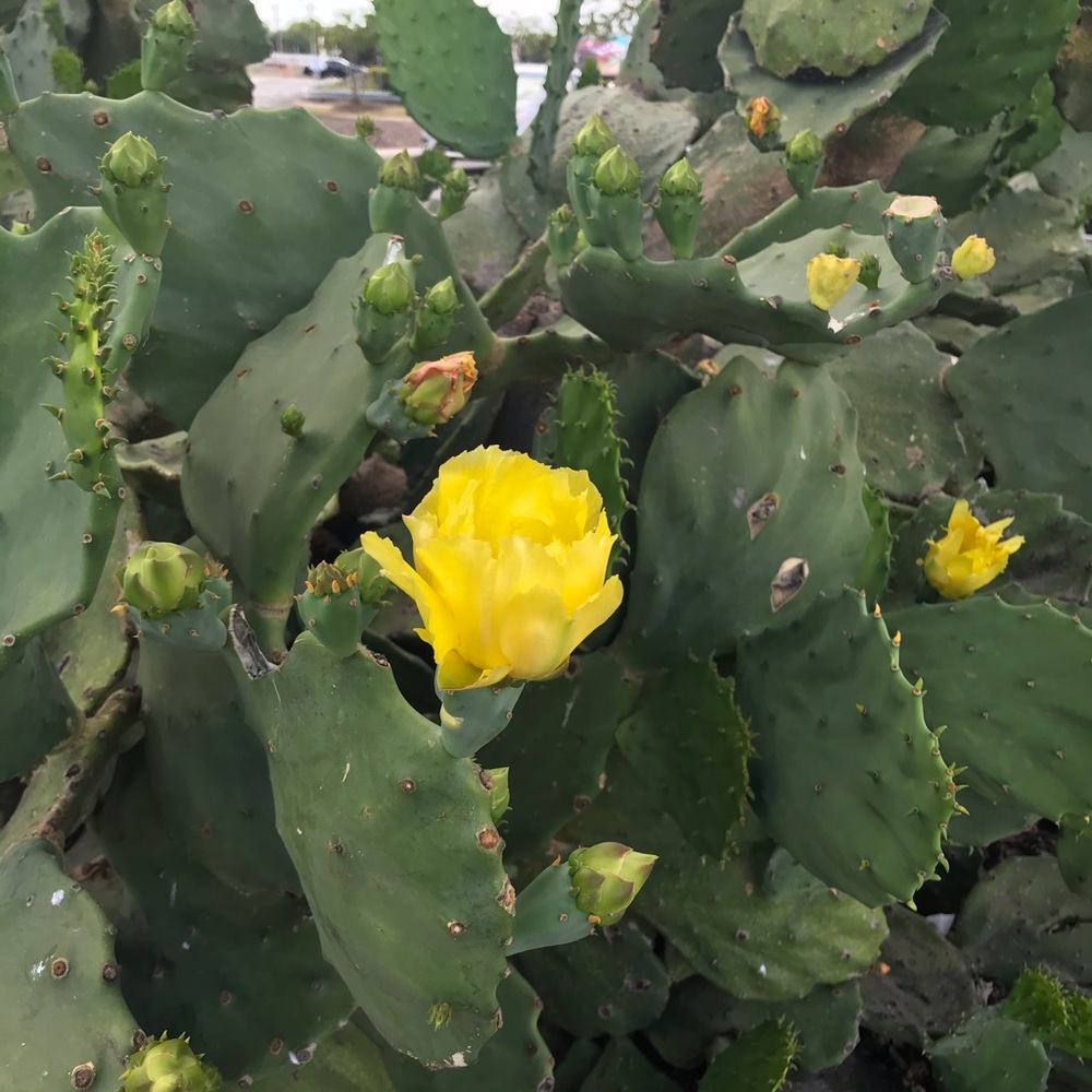 Meet your Posher, Rita